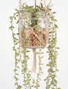 消臭機能付き造花　アーティフィシャルグリーン　エクリア(ハンギングタイプ)　６個セット